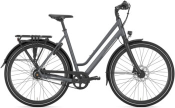 Gazelle Chamonix S11 Low-Step